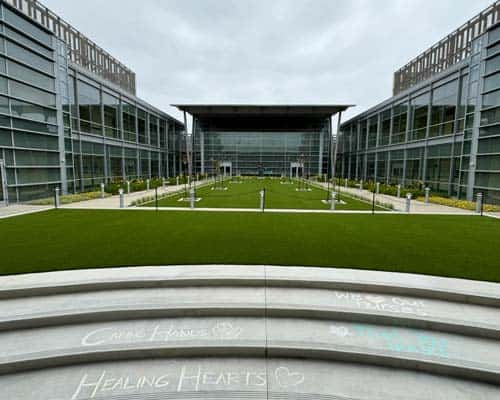 Long Beach VA Hospital Artificial Grass