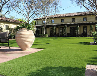 Artificial Grass Gallery