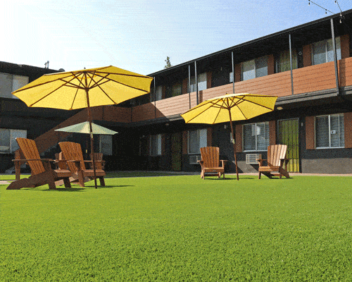 commercial artificial grass