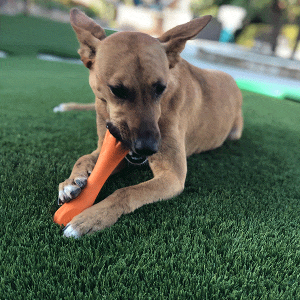 Artificial Pet Turf
